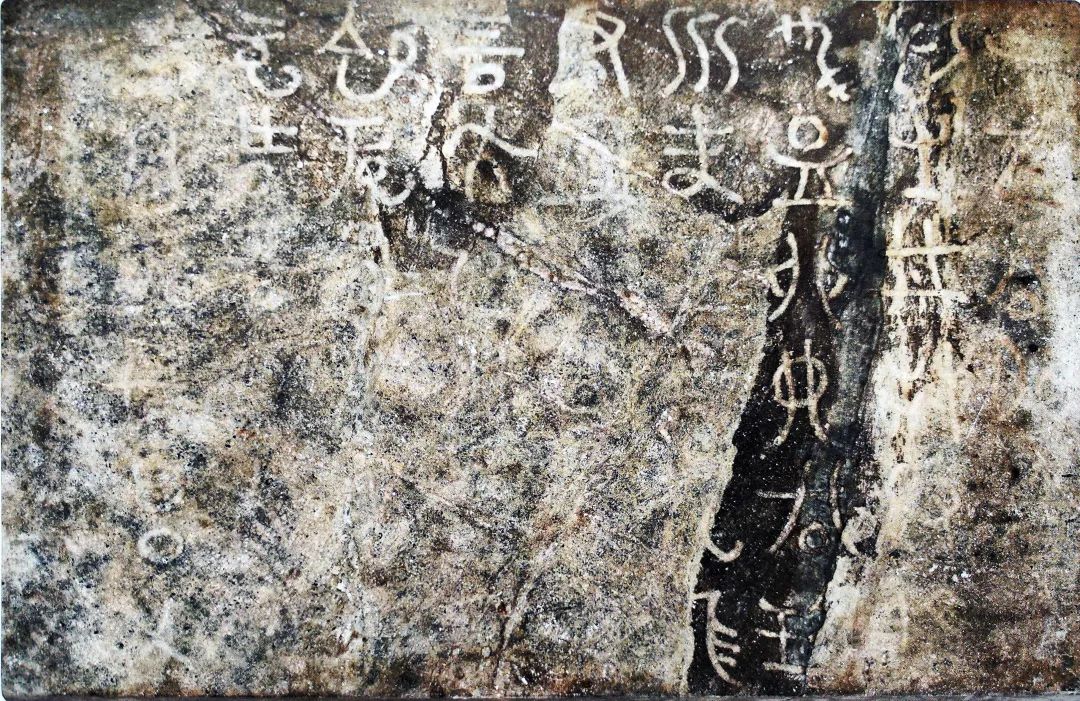 20231204_150050_006.jpg 20231204_150050_006.jpg